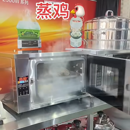 Small steamer that produces steam in seconds
