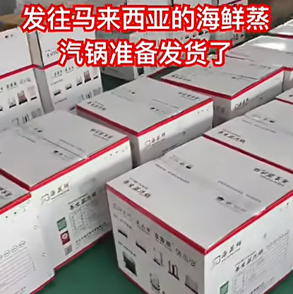 Seafood Steamer that produces steam in seconds