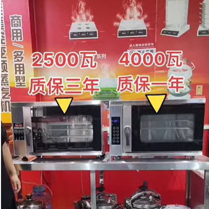 Mini steamer that produces steam in seconds