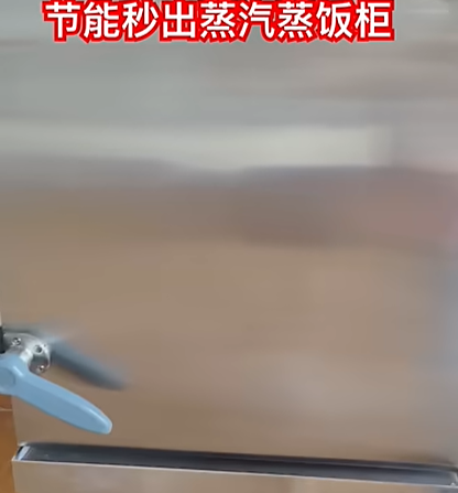 Instant steam generation, energy-saving and fast rice steamer