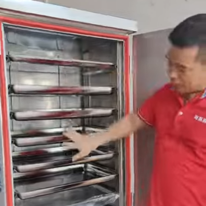 Instant Steam Multifunctional Steam Cooking Equipment Rice Steamer