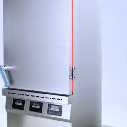 Steam cooker with instant steam cooking function