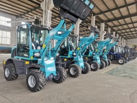 1000 Kg New Mini Payloader