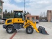 Avant Articulated Mini Loader
