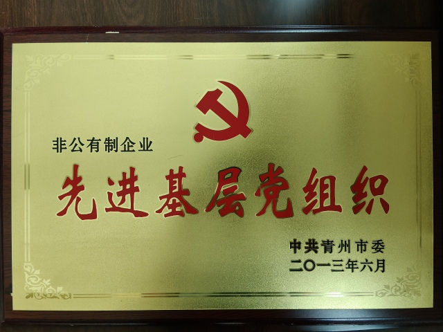 Advanced grassroots party organizations