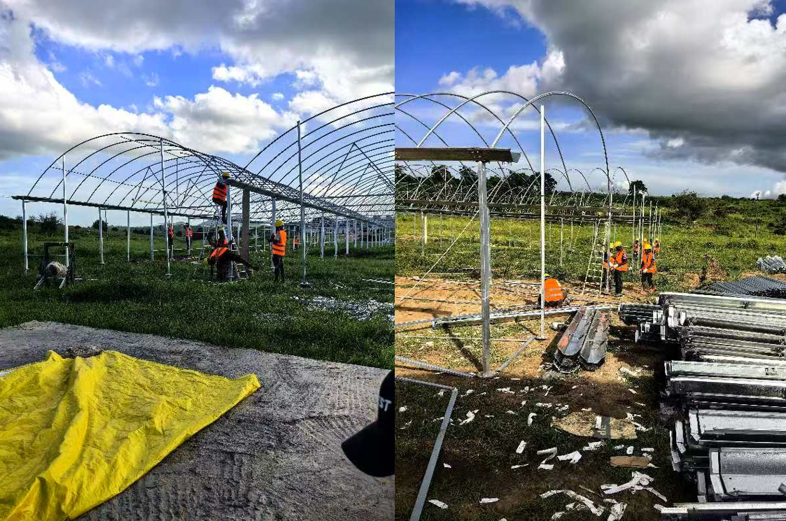 Greenhouse projects in Tanzania and Mauritania, Africa