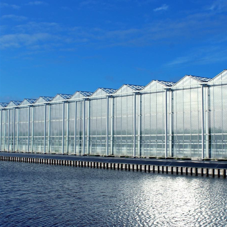 Hydroponics Made Easy for Small Farmers in Brazil: Affordable and Practical Greenhouse Solutions