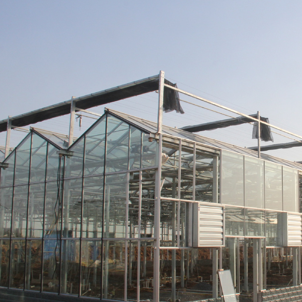 Modern Greenhouse Solutions: Enhancing Agricultural Productivity and Efficiency