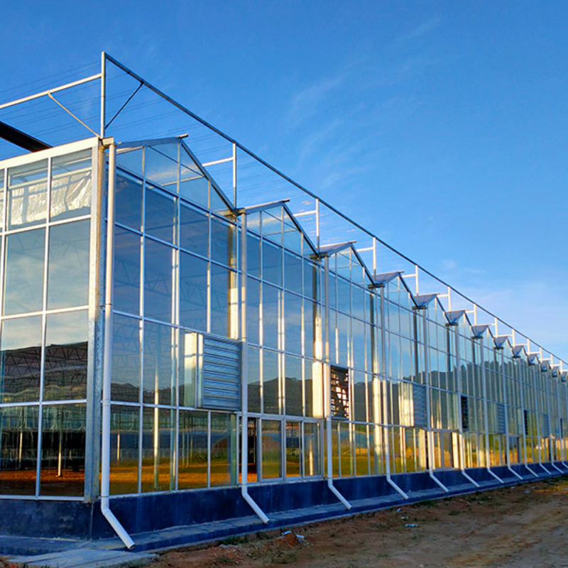 Agricultural Strawberry Tomato Multi-span Glass Greenhouse