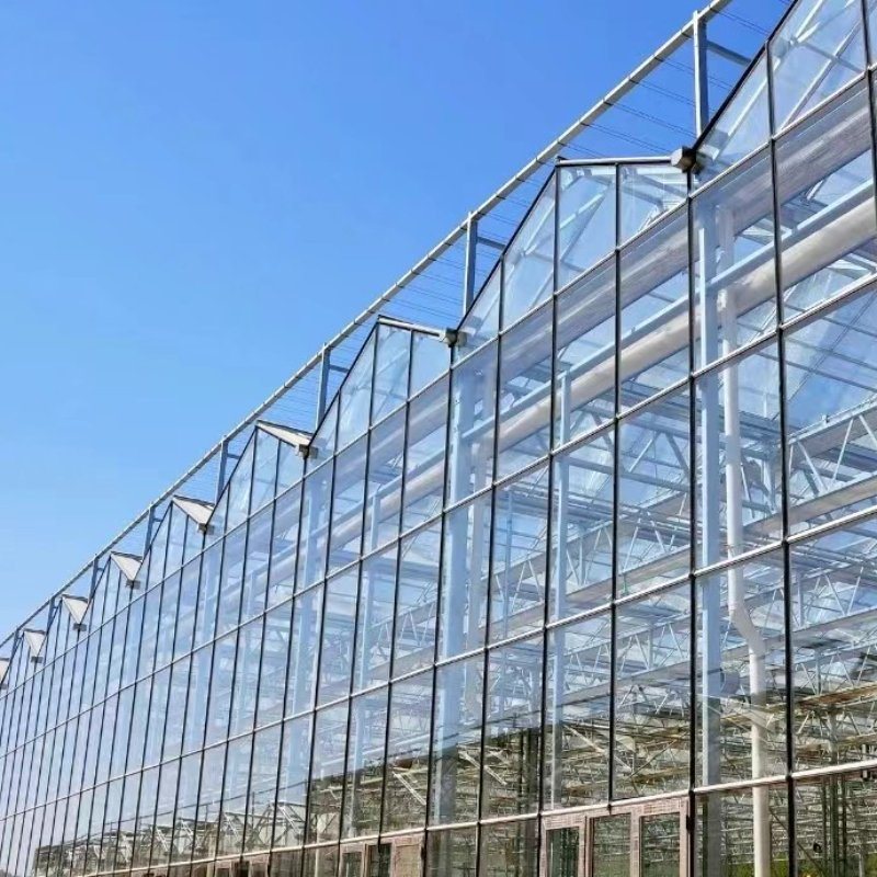 Agricultural Strawberry Tomato Multi-span Glass Greenhouse
