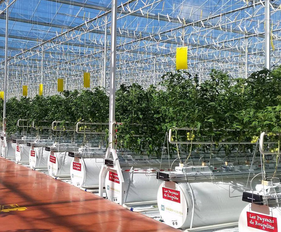 High Quality Multi Span Agriculture Greenhouses