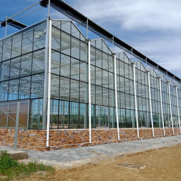 High Quality Multi Span Agriculture Greenhouses