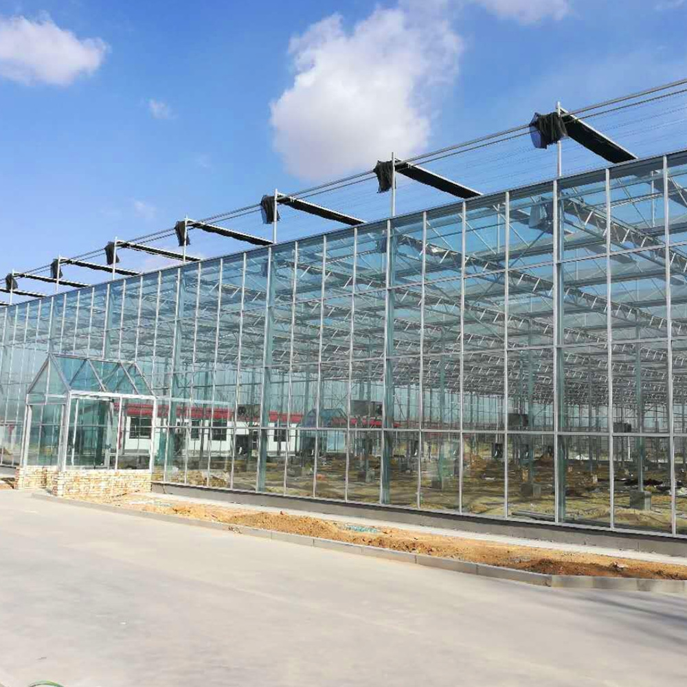 High Quality Multi Span Agriculture Greenhouses