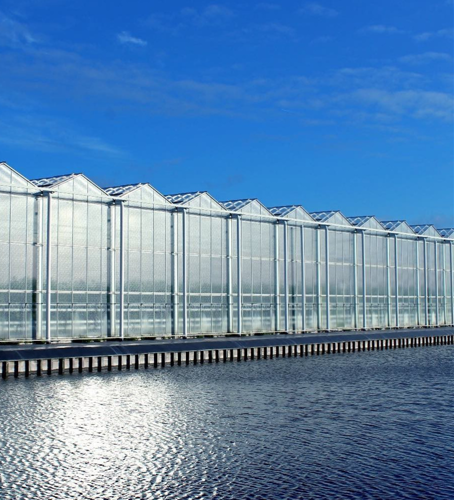 Venlo Glass Greenhouse Glass House
