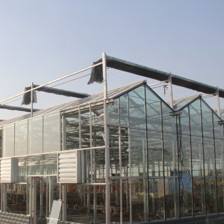 Venlo Glass Greenhouse Glass House