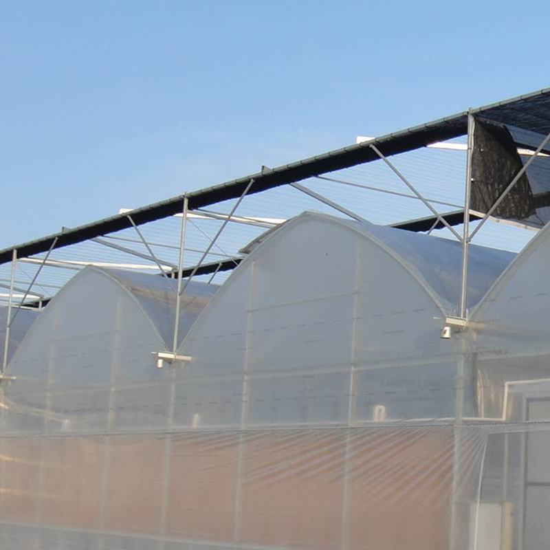 Large Ecological Garden Greenhouse Hoop House