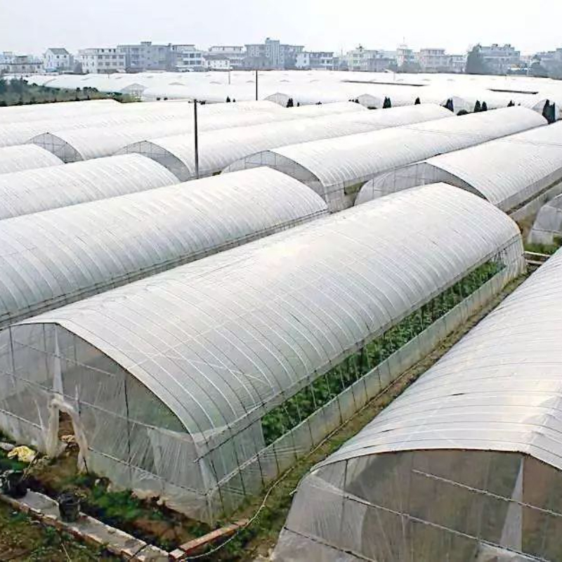 Large Ecological Garden Greenhouse Hoop House