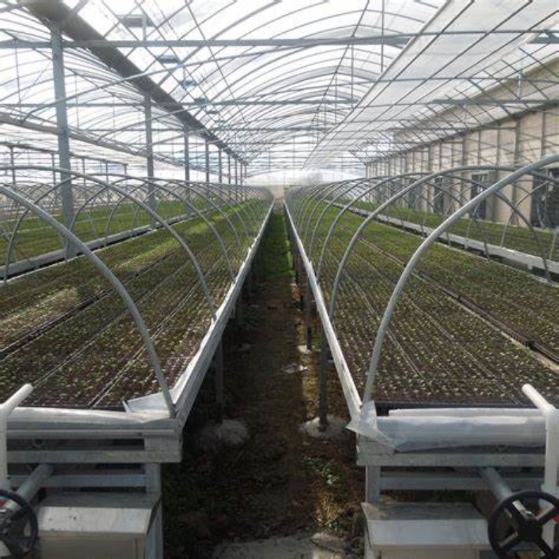 Tomato Hydroponic Greenhouse With Heated System