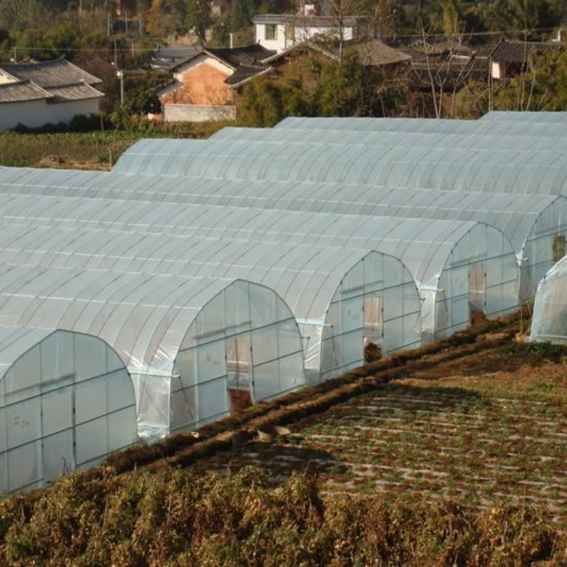 Poly Arched Nursery Greenhouse