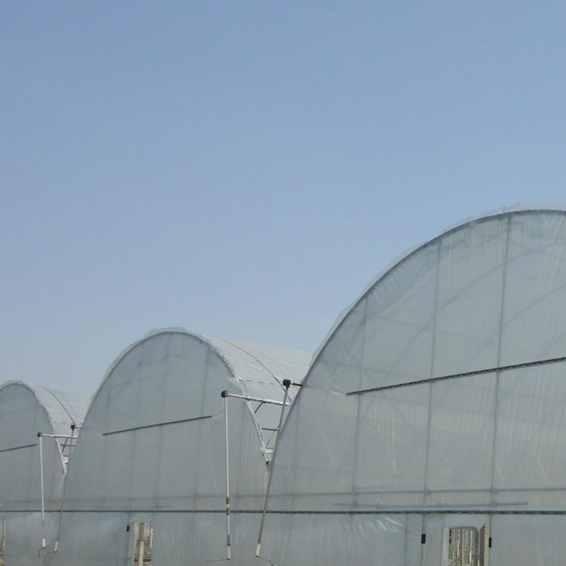 Organic Steel Multi Span Round Arch Hoop House