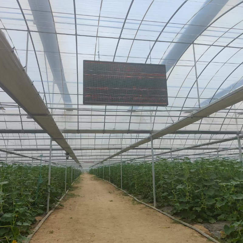 Organic Steel Multi Span Round Arch Hoop House