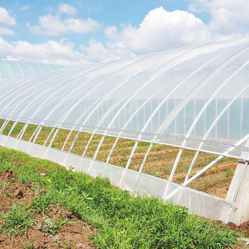 Multi Span Round Plastic Hydroponic Greenhouse