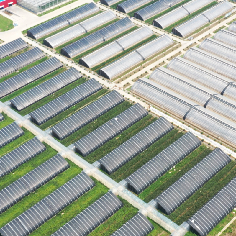 High Tunnel Greenhouse Polyhouse