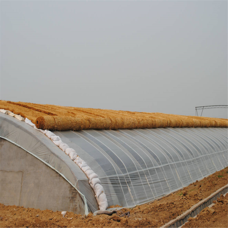 High Tunnel Greenhouse Polyhouse