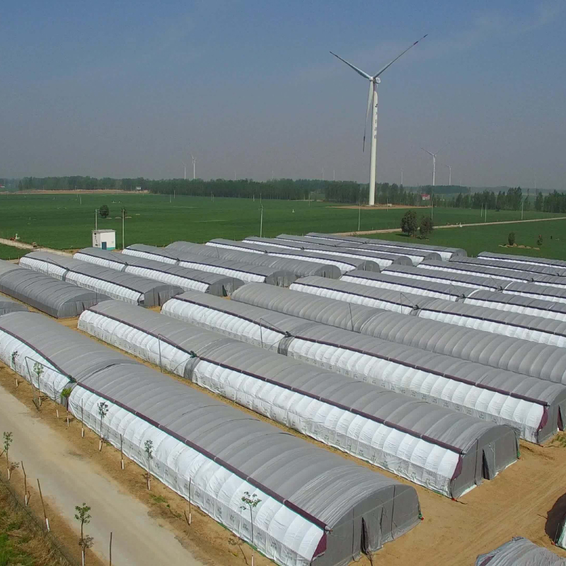 Hoop Plastic Greenhouse Polytunnel