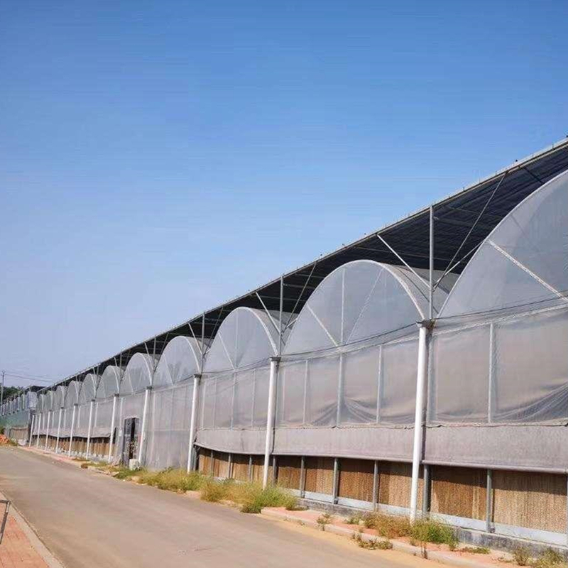 Solar Film Multi Span Round Arched Flower Greenhouse