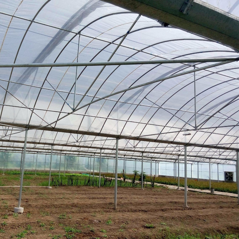 Solar Film Multi Span Round Arched Flower Greenhouse