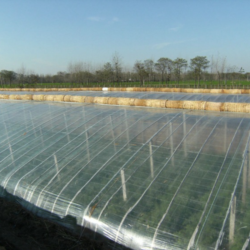 Heated Greenhouse With Greenhouse Insulation System