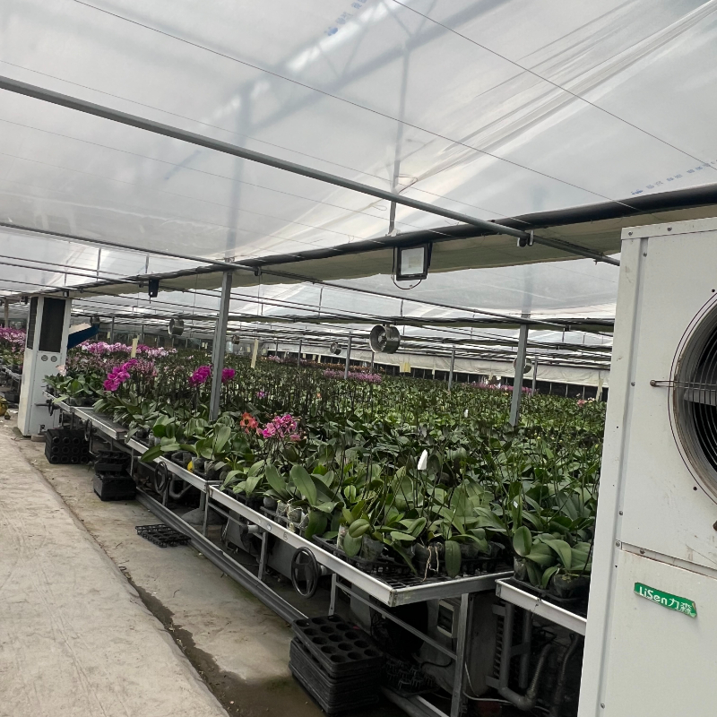 Adaptable Solar Greenhouse For Various Crop Types