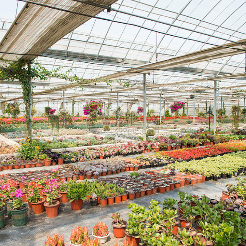 Durable PC Board Greenhouse