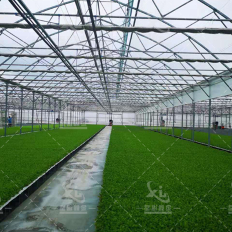 PC Greenhouse For Agricultural Applications