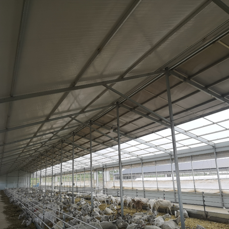 Customizable Quick-Assembly Pig House For Cost-Effective Livestock