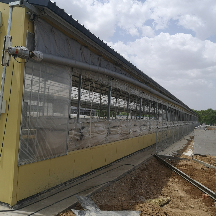 Steel Cattle Shed For Fast Setup And Effective Livestock Management