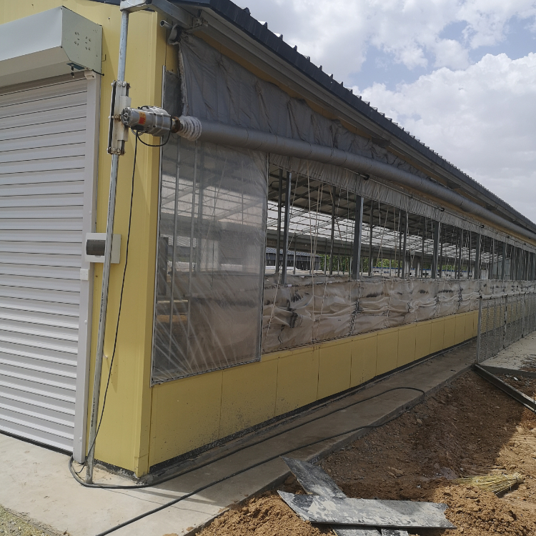 Affordable Prefabricated Sheep Barn For Fast Installation