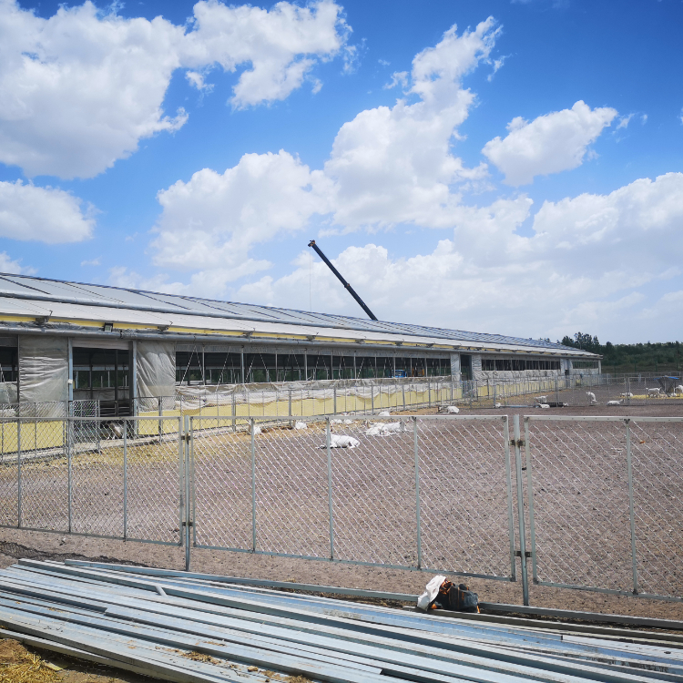 Affordable Prefabricated Sheep Barn For Fast Installation