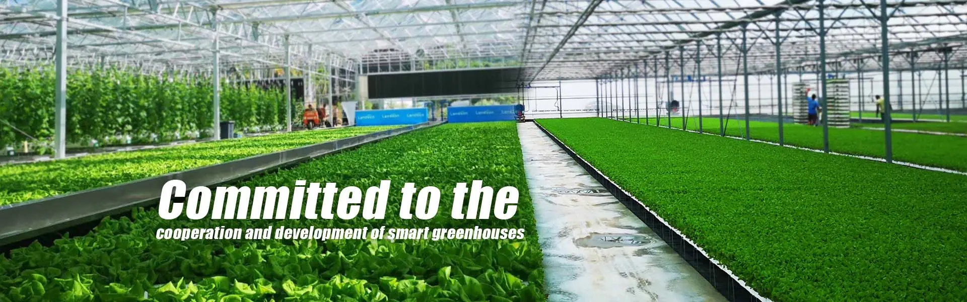 film greenhouse