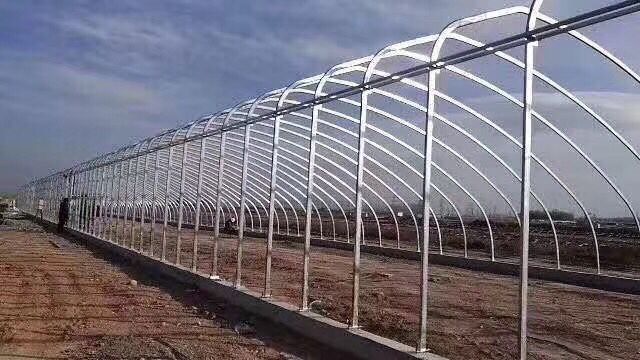 Why Does Modern Agriculture Choose Steel Greenhouses?
