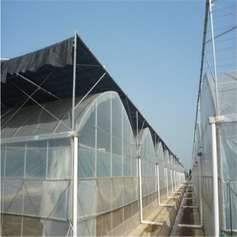 Modern Greenhouse