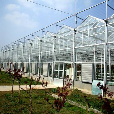 Greenhouse