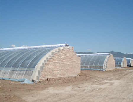 How to choose the right greenhouse type