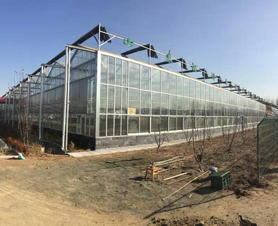 Greenhouse