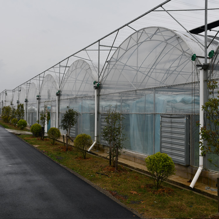 Greenhouse