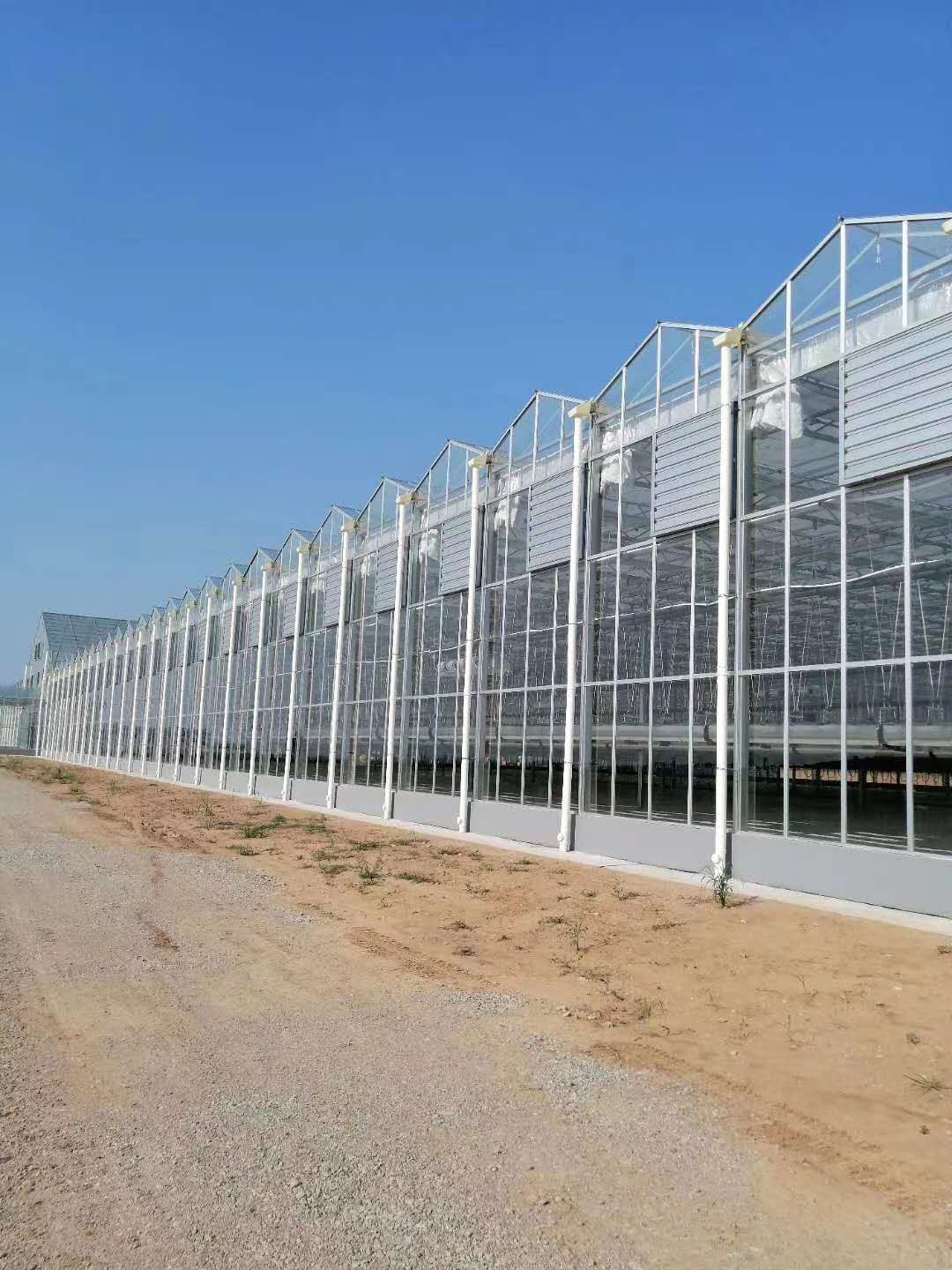 Greenhouse