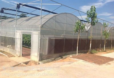 Greenhouse