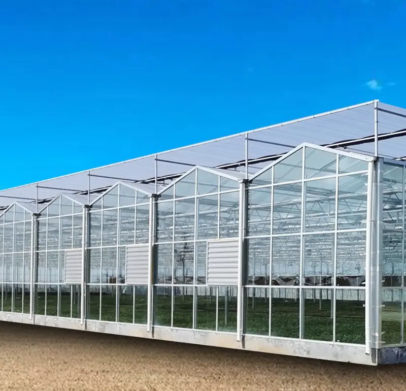 Greenhouse