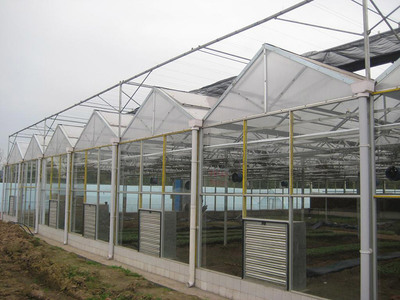 Greenhouse